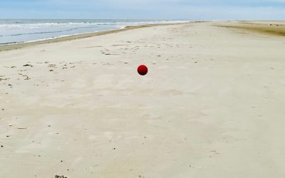 Wilderway Basis – individueel traject