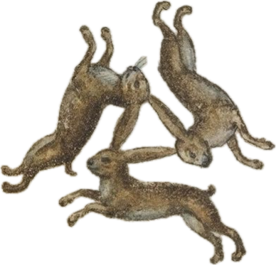 rabbits